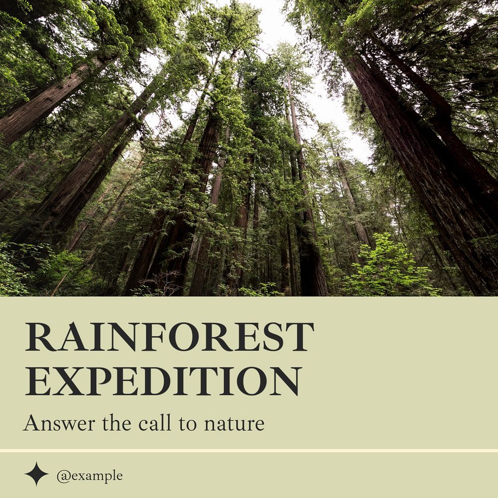 Rainforest hiking nature Instagram post template, editable text