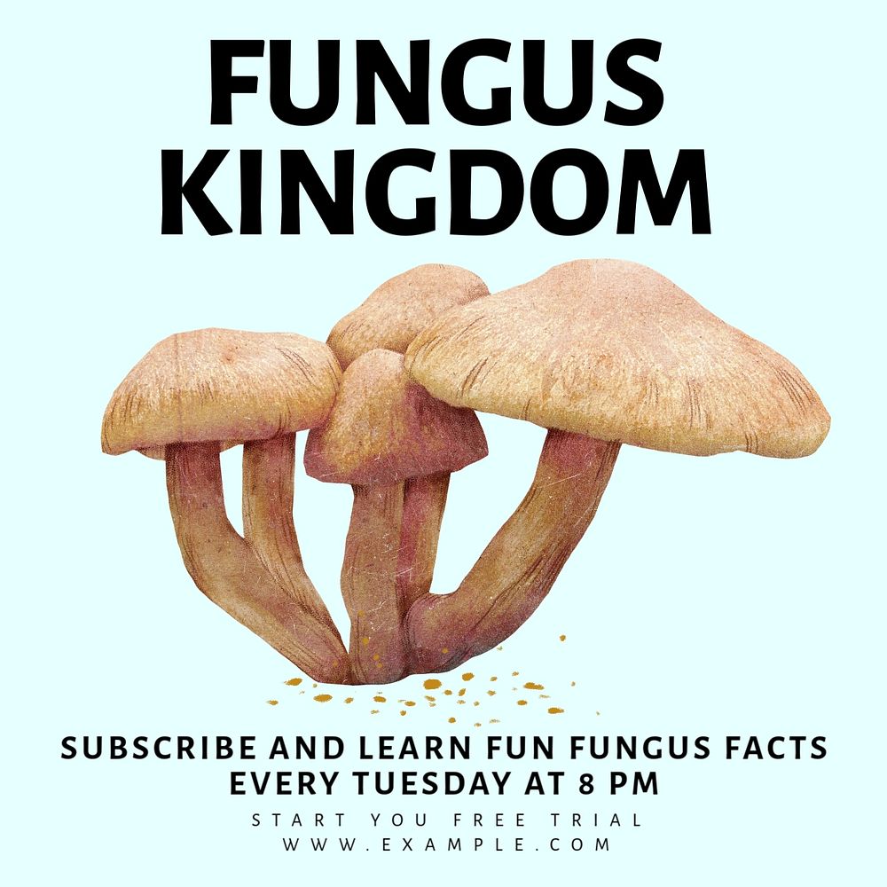 Fungus kingdom Instagram post template, editable text