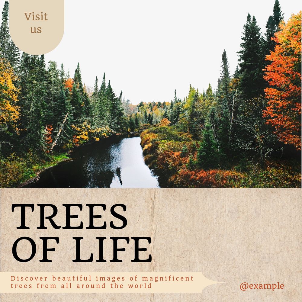 Trees of life Instagram post template, editable text