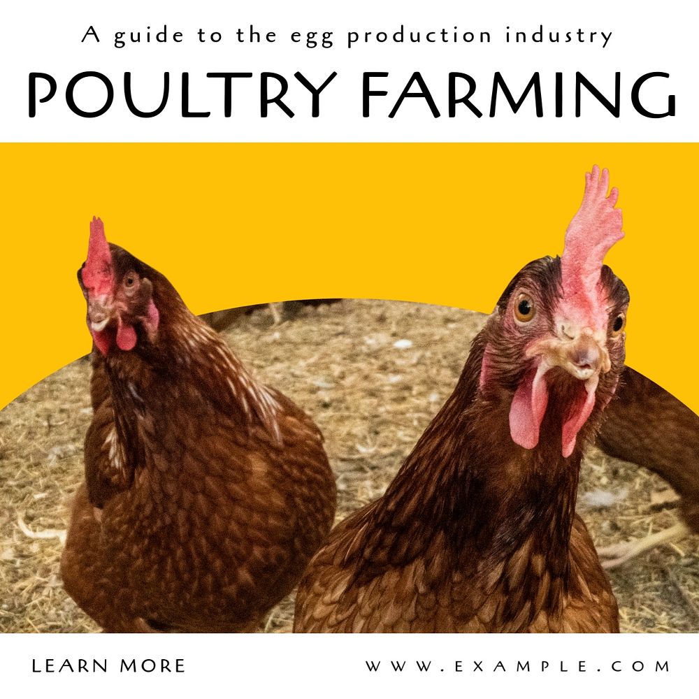 Poultry farming Instagram post template, editable text