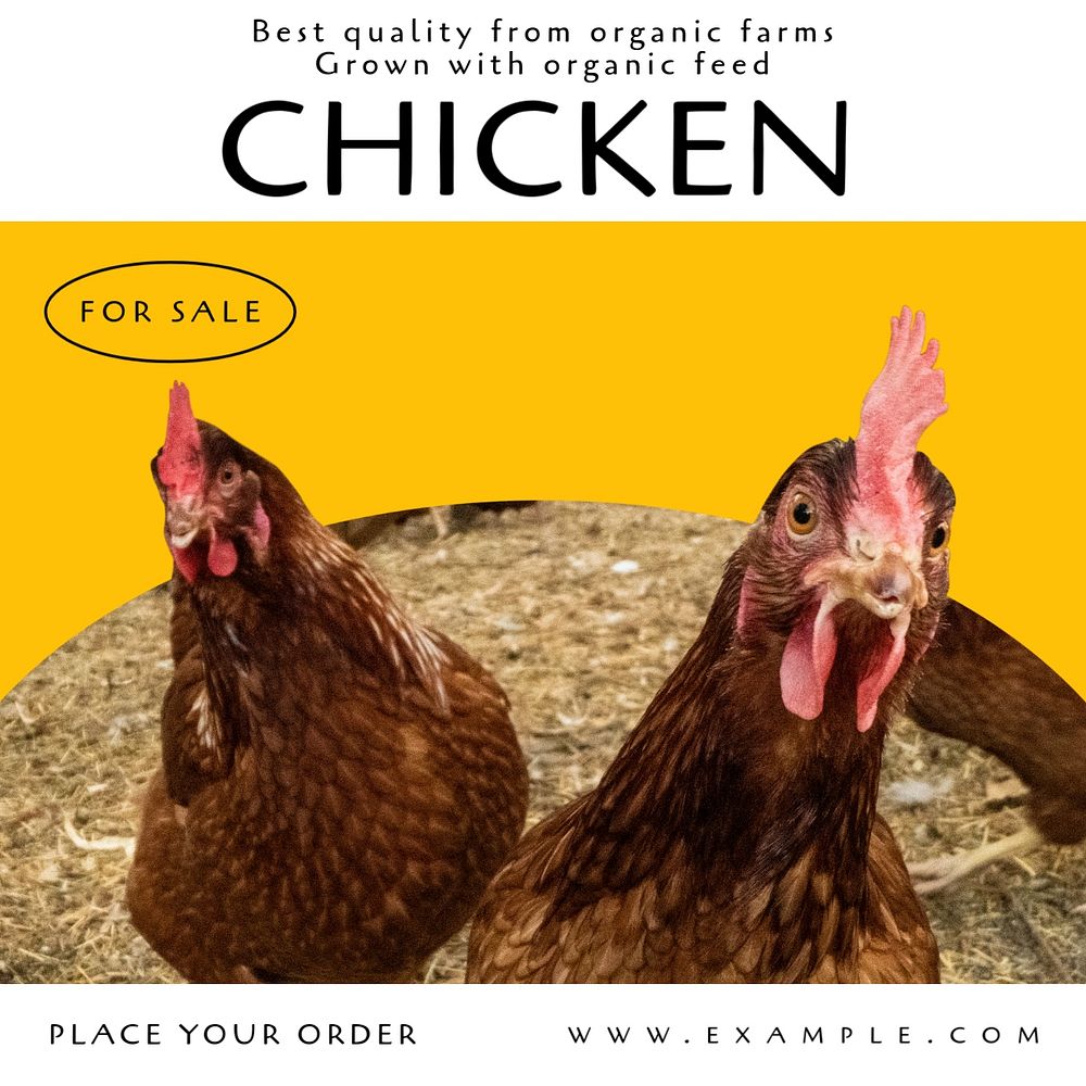 Chicken food sale Instagram post template, editable text