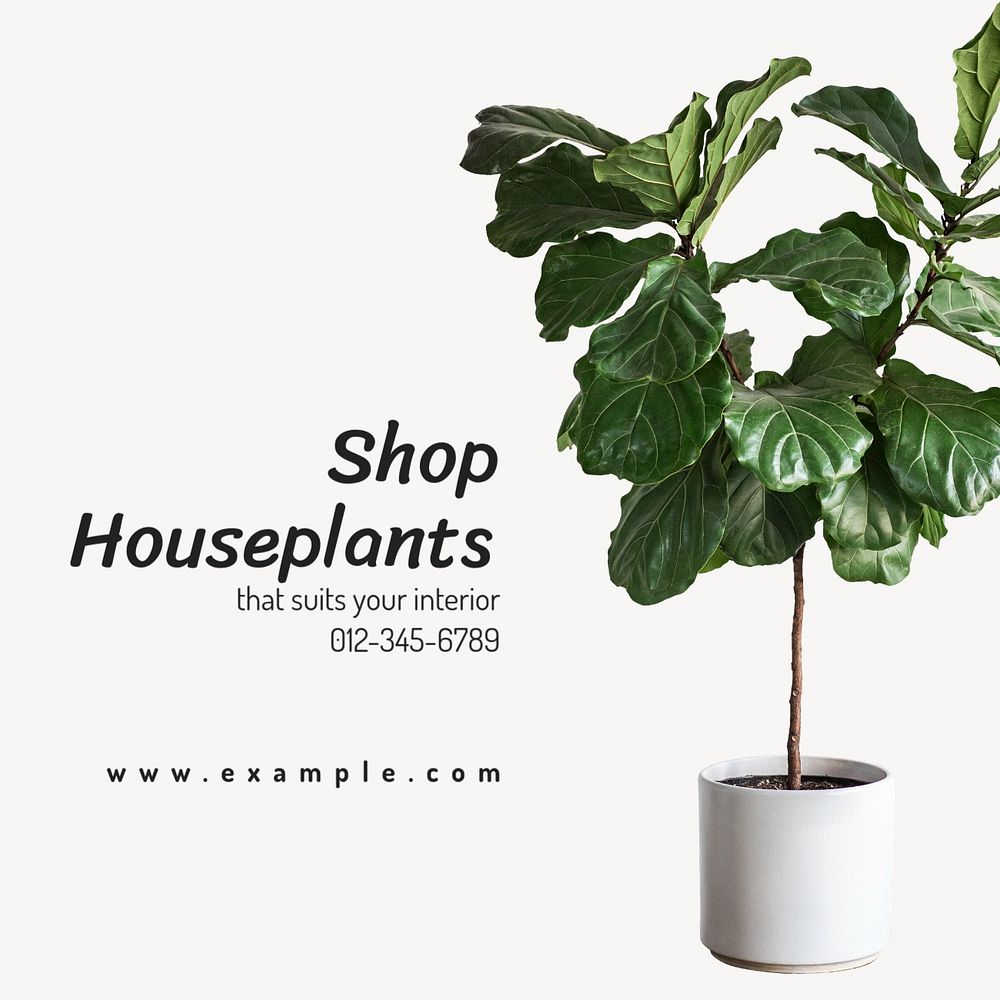 Shop houseplant Instagram post template, editable text