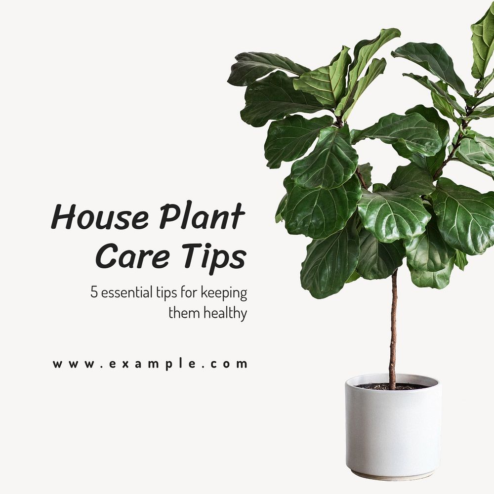 House plant care Instagram post template, editable text