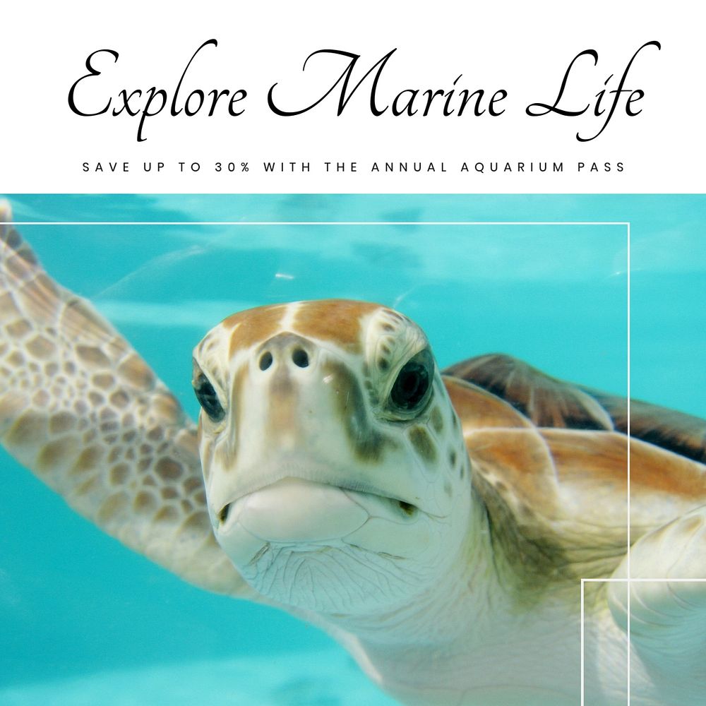 Explore marine life Instagram post template, editable text