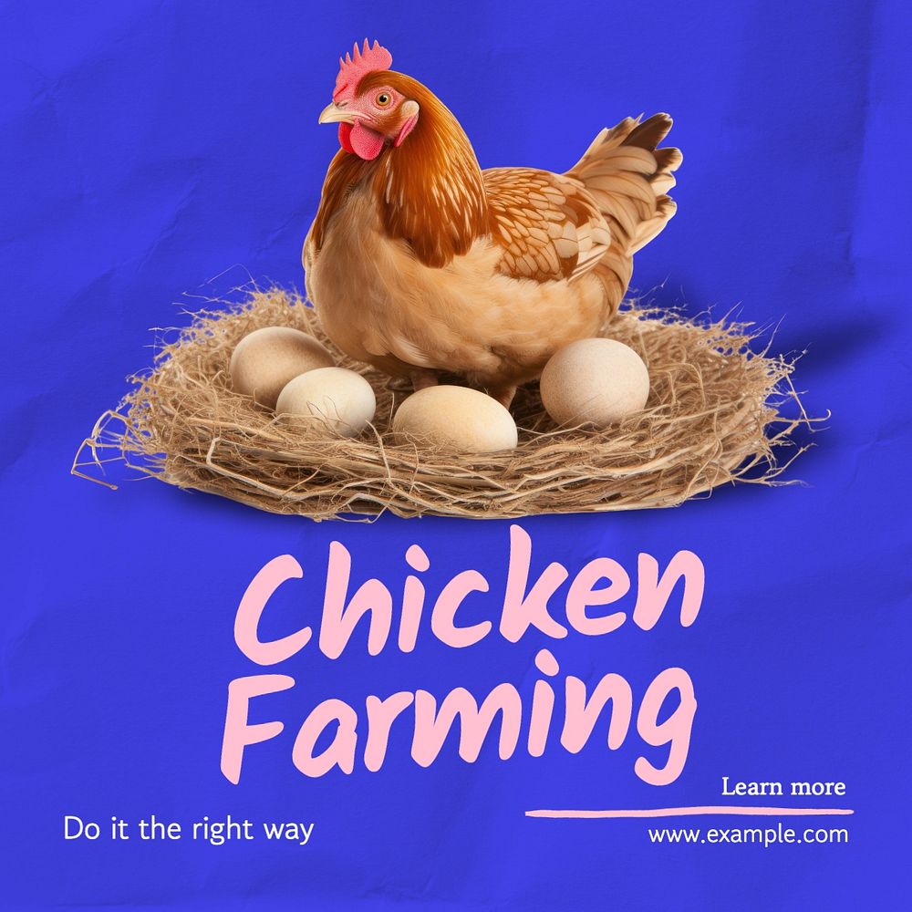 Chicken farming Instagram post template