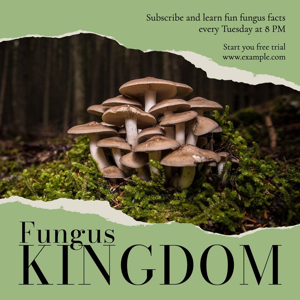 Fungus kingdom Instagram post template