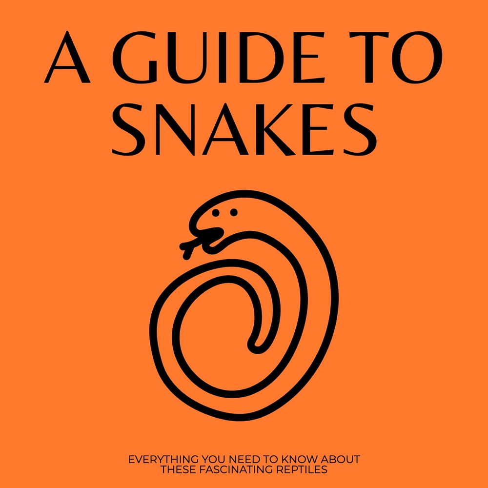 Snake guide Instagram post template