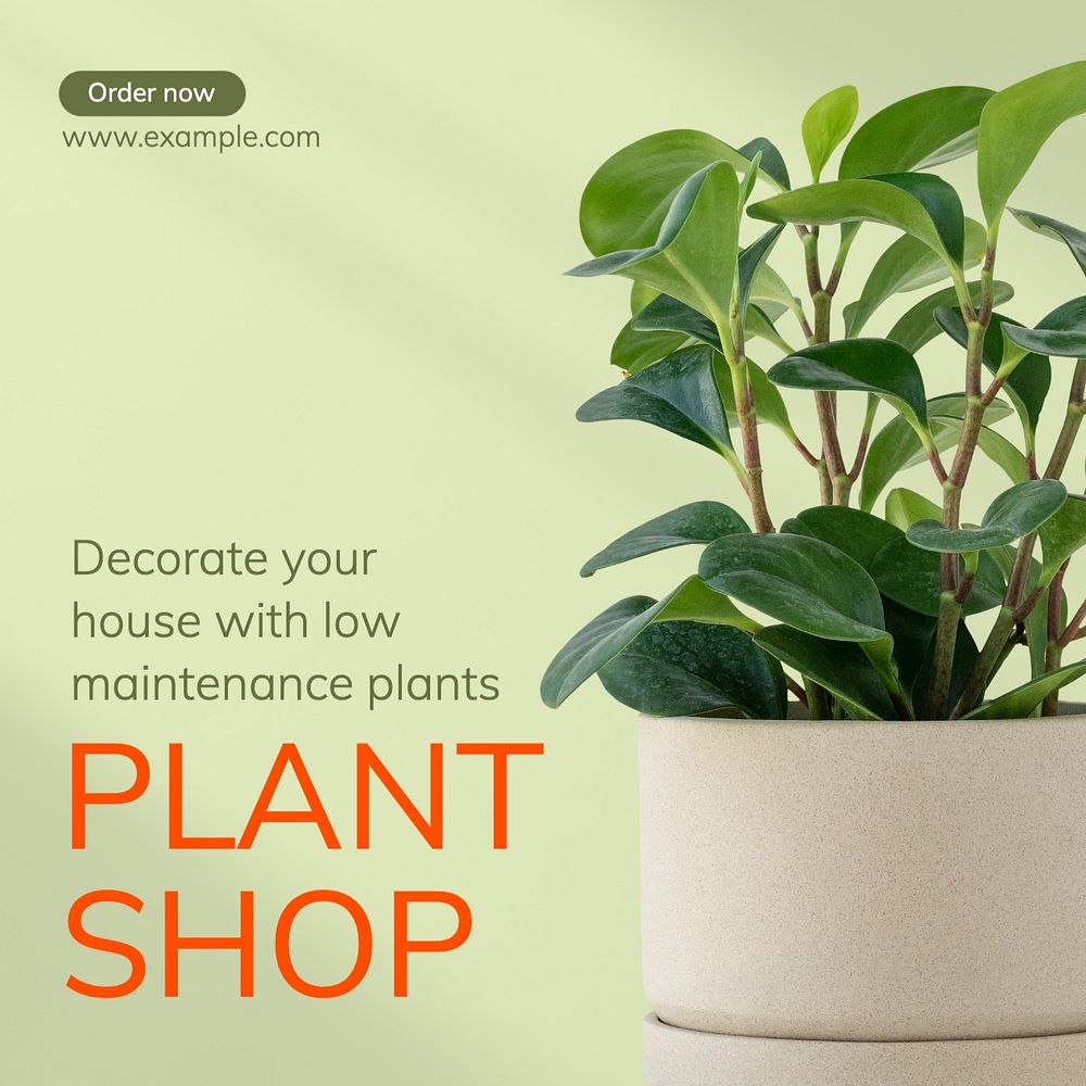 Plant shop Instagram post template