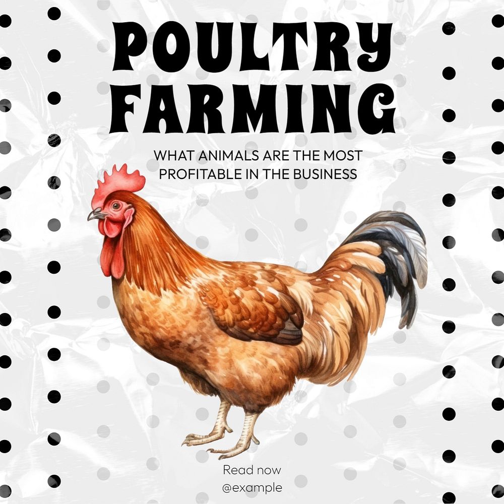 Poultry farming Instagram post template