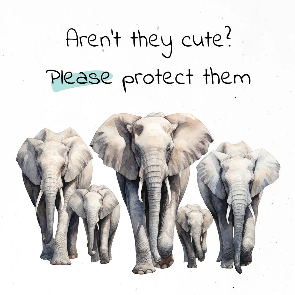 Protect animals Instagram post template