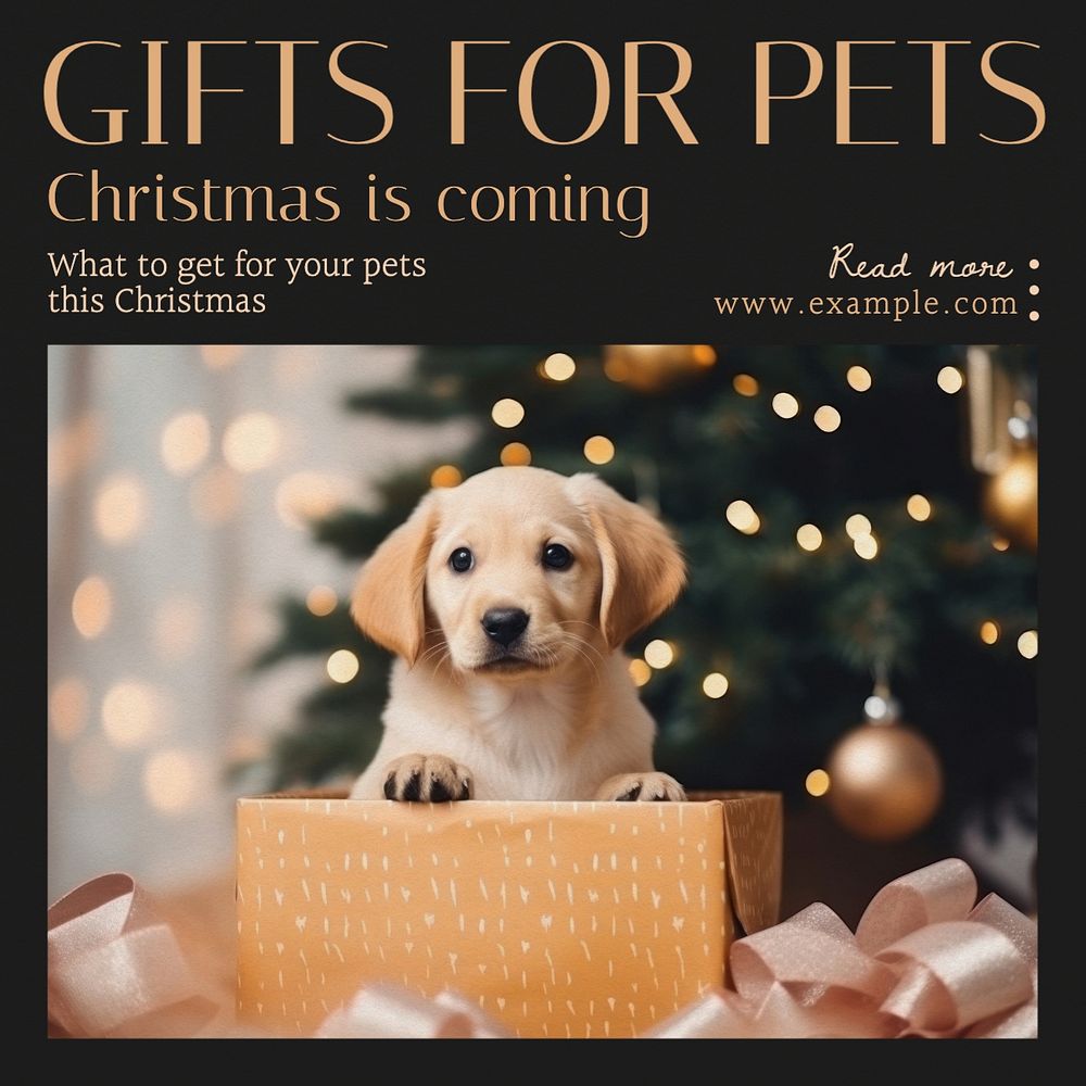 Gifts for pets Instagram post template