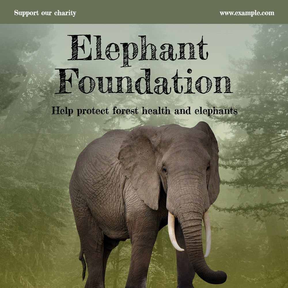 Elephant foundation Instagram post template