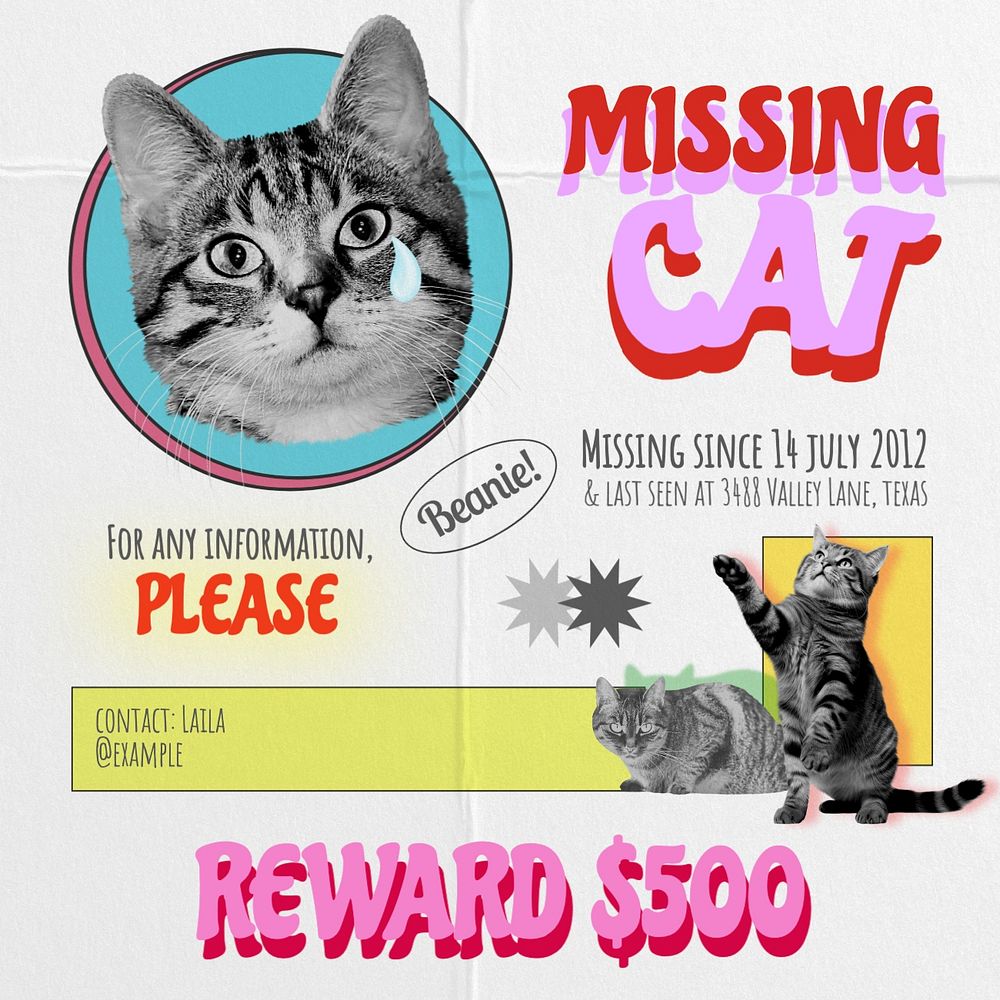 Missing cat Instagram post template