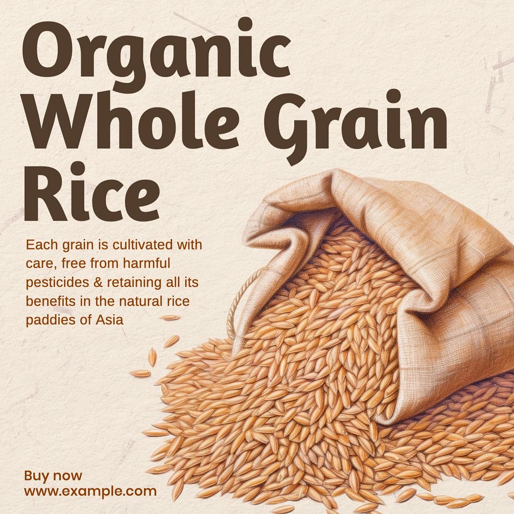 Organic rice Instagram post template