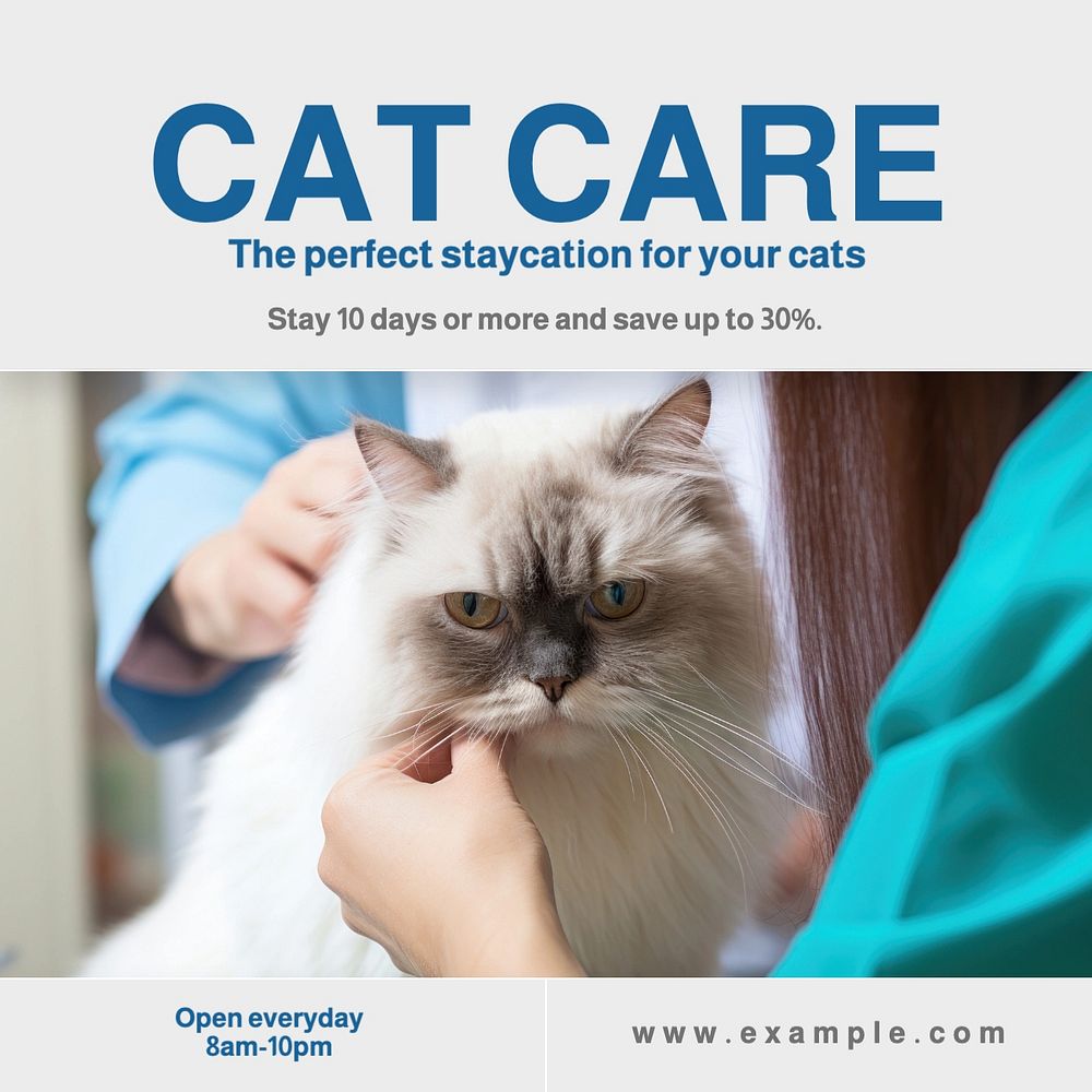 Cat care Instagram post template