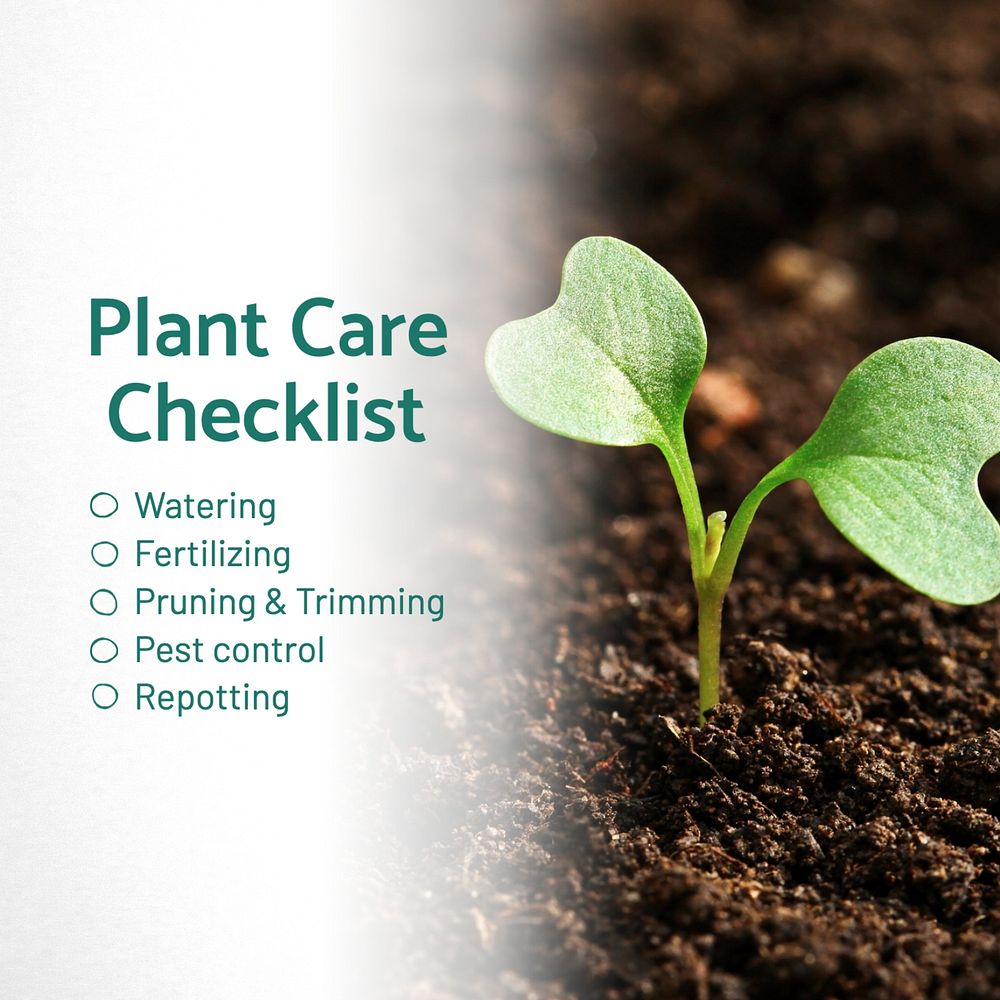 Plant care checklist Instagram post template