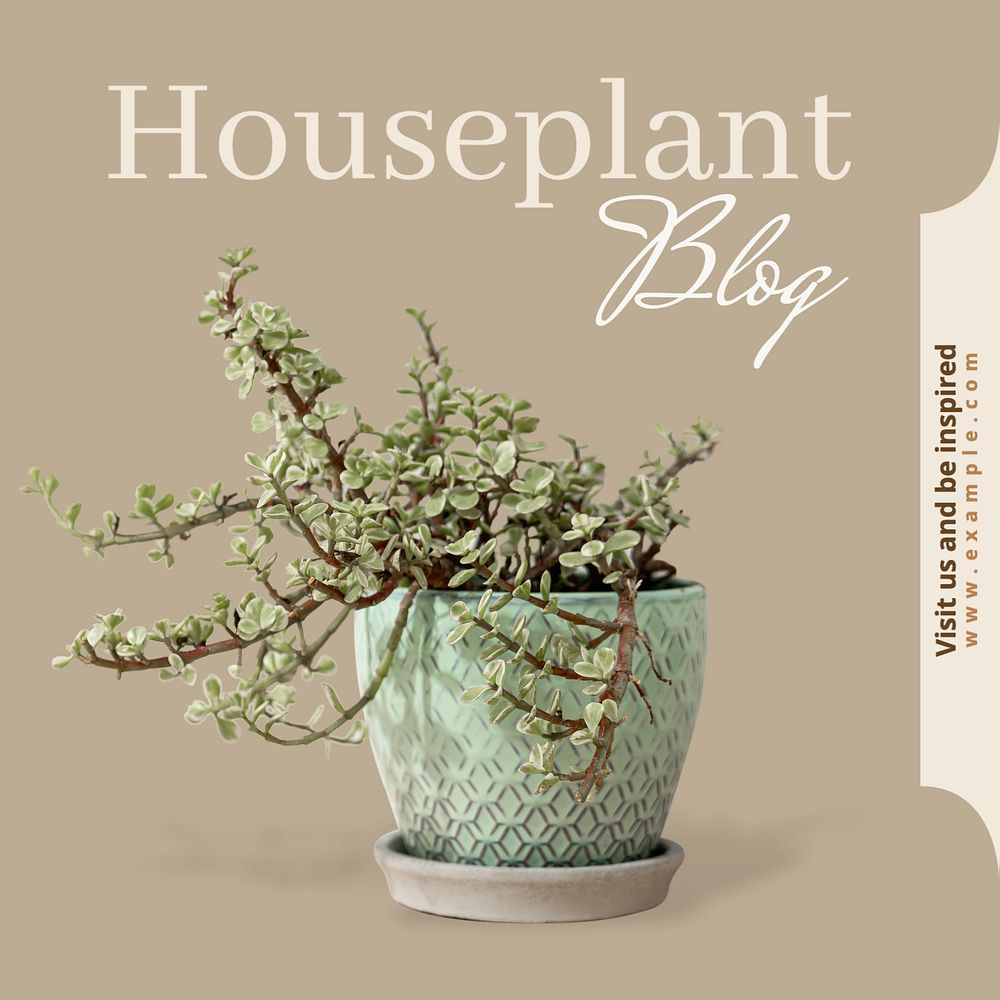 Houseplant lover blog Instagram post template