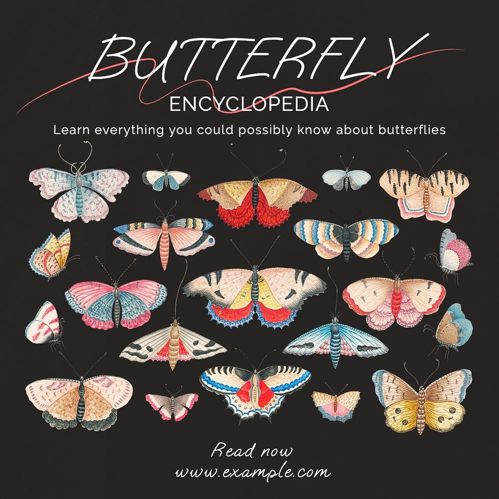 Butterfly encyclopedia Facebook post template