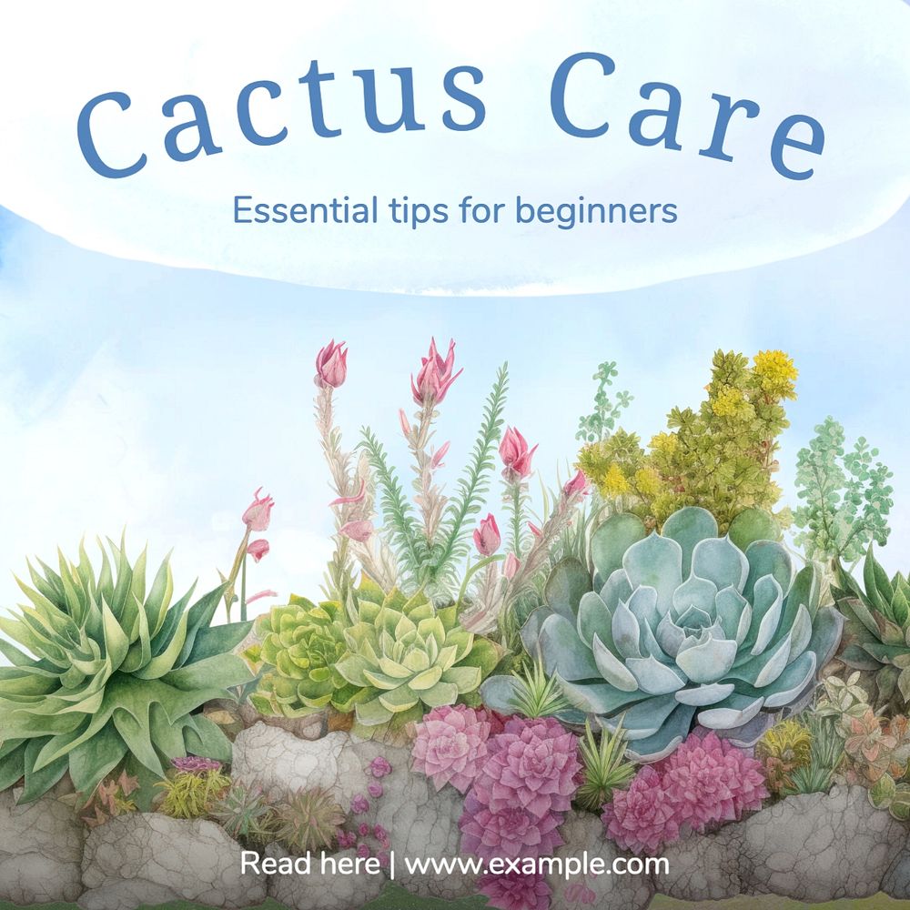 Cactus care Facebook post template