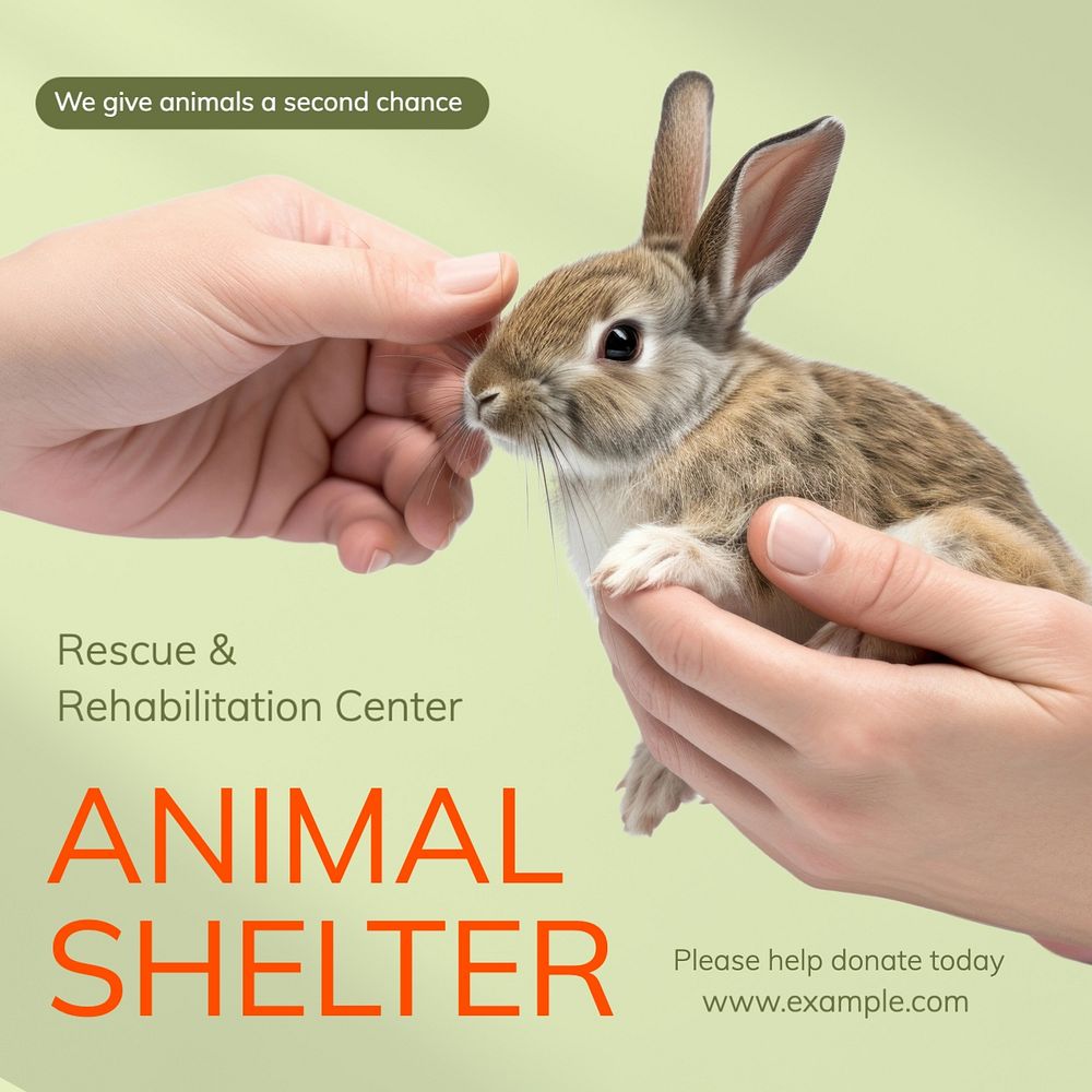 Animal shelter Facebook post template