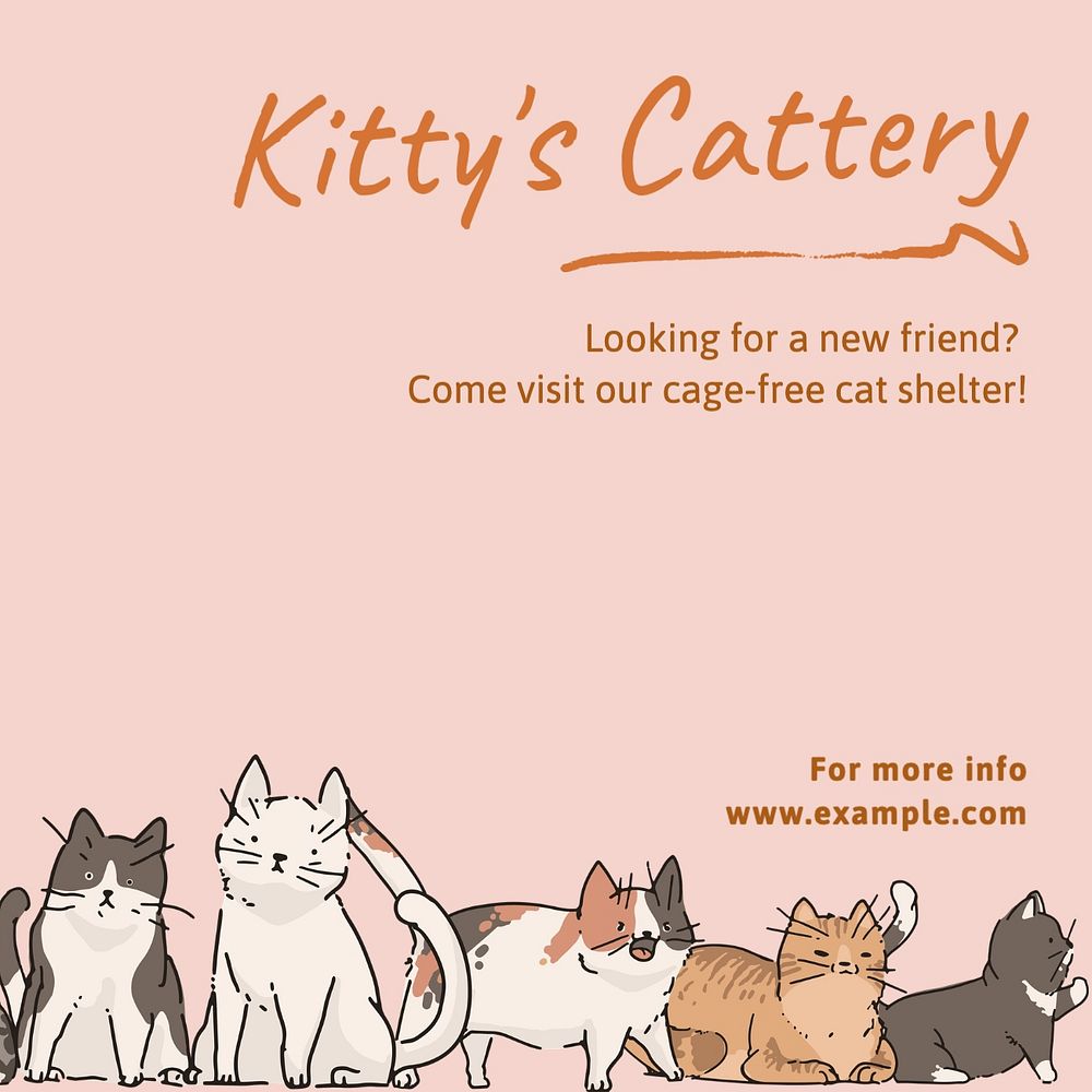 Cattery & shelter Facebook post template