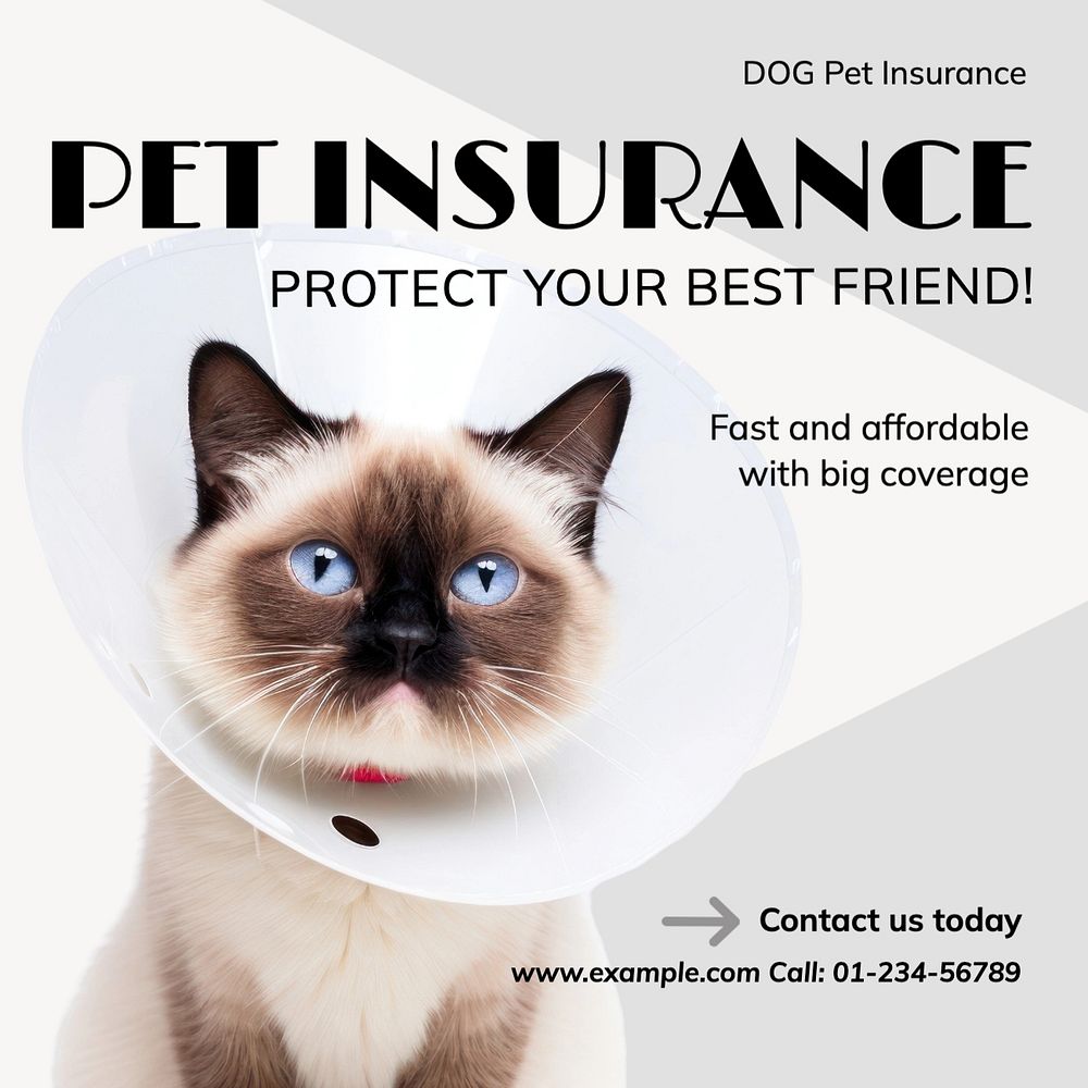 Pet insurance Facebook post template