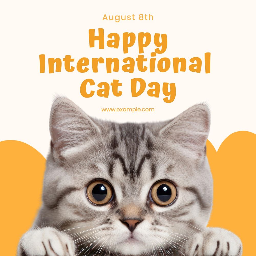 International cat day Facebook post template