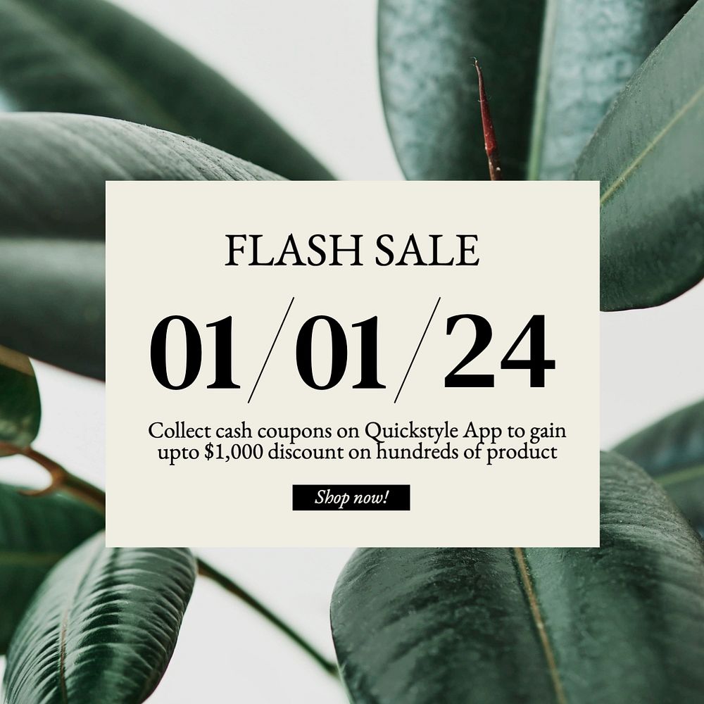 Flash sale Instagram post template