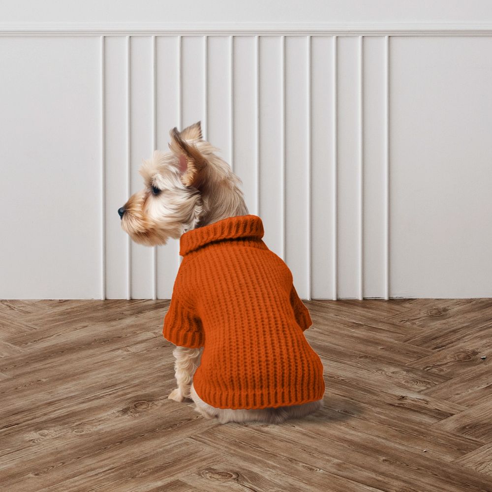 Dog's knitted sweater editable mockup