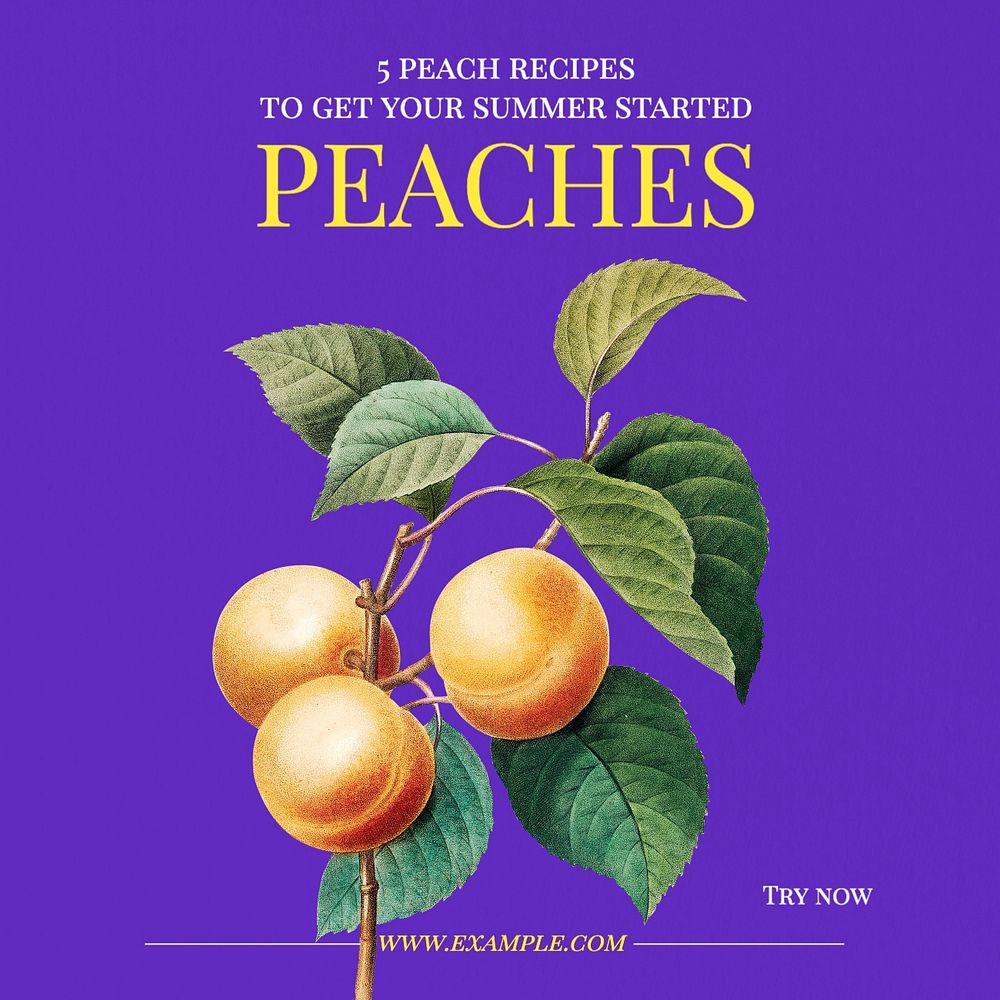 Peach recipes Instagram post template