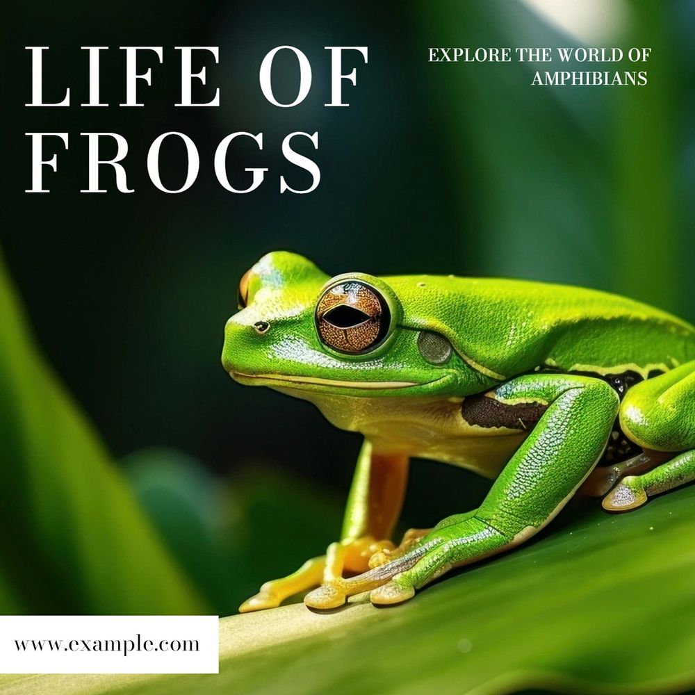 Frog documentary Facebook post template