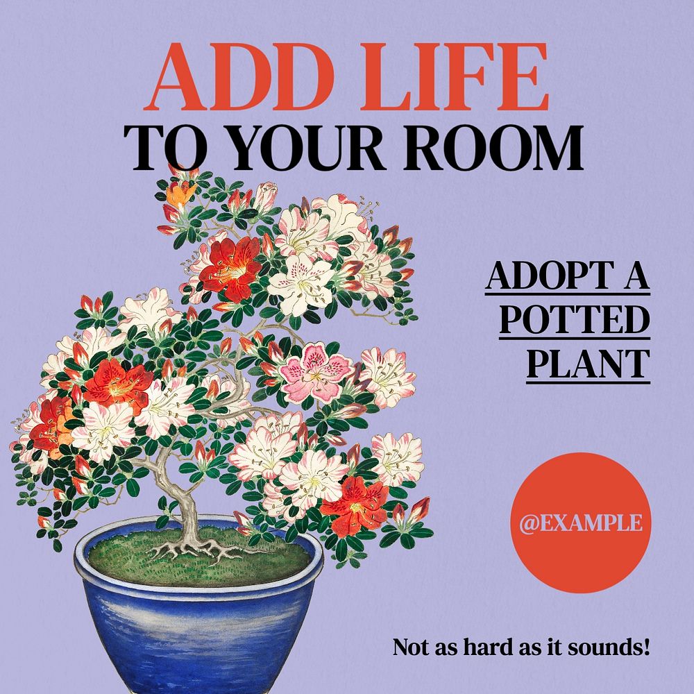 Potted plant Instagram post template