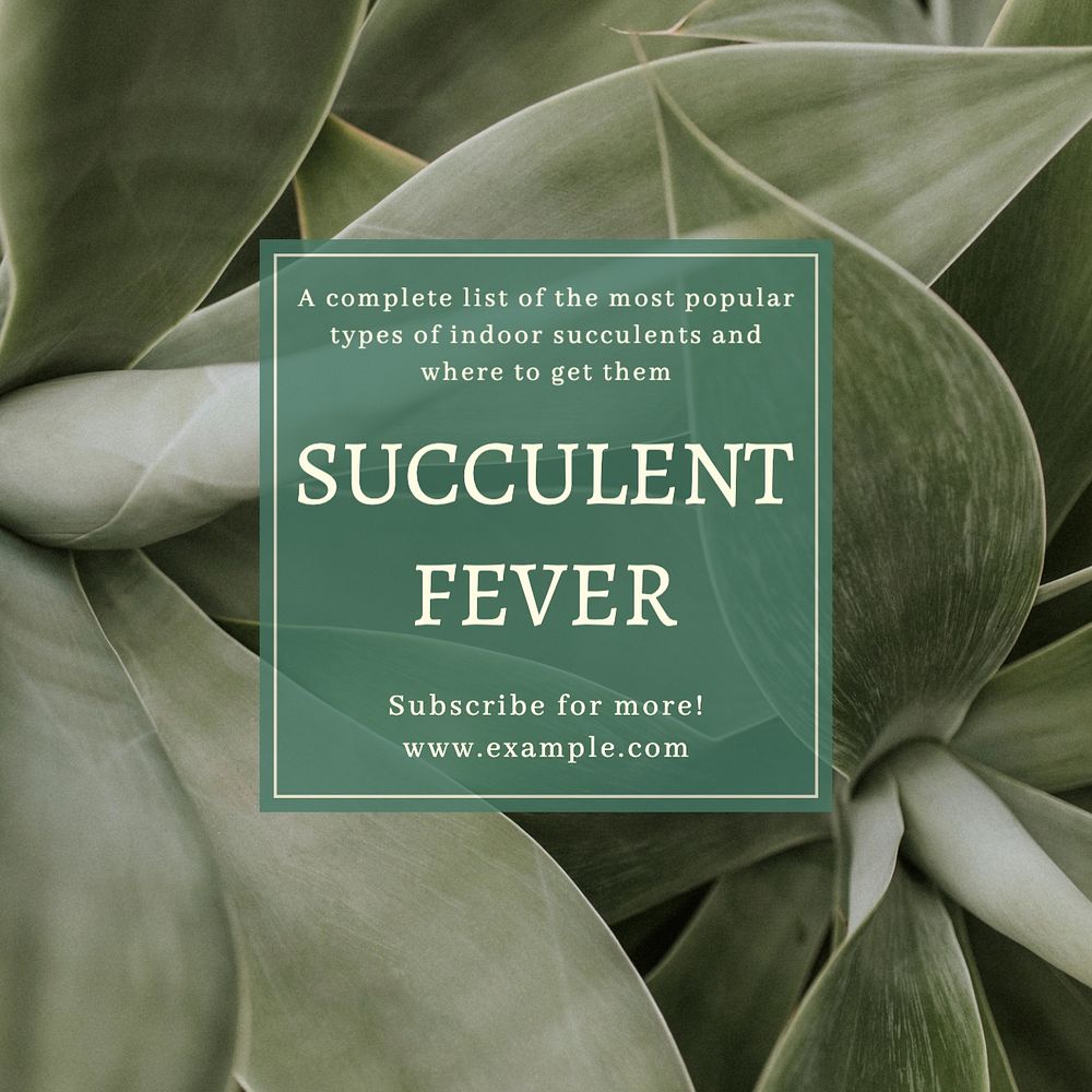 Succulent fever Instagram post template