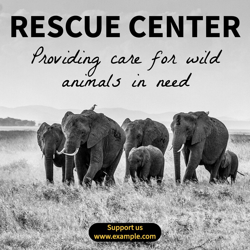 Rescue center Instagram post template