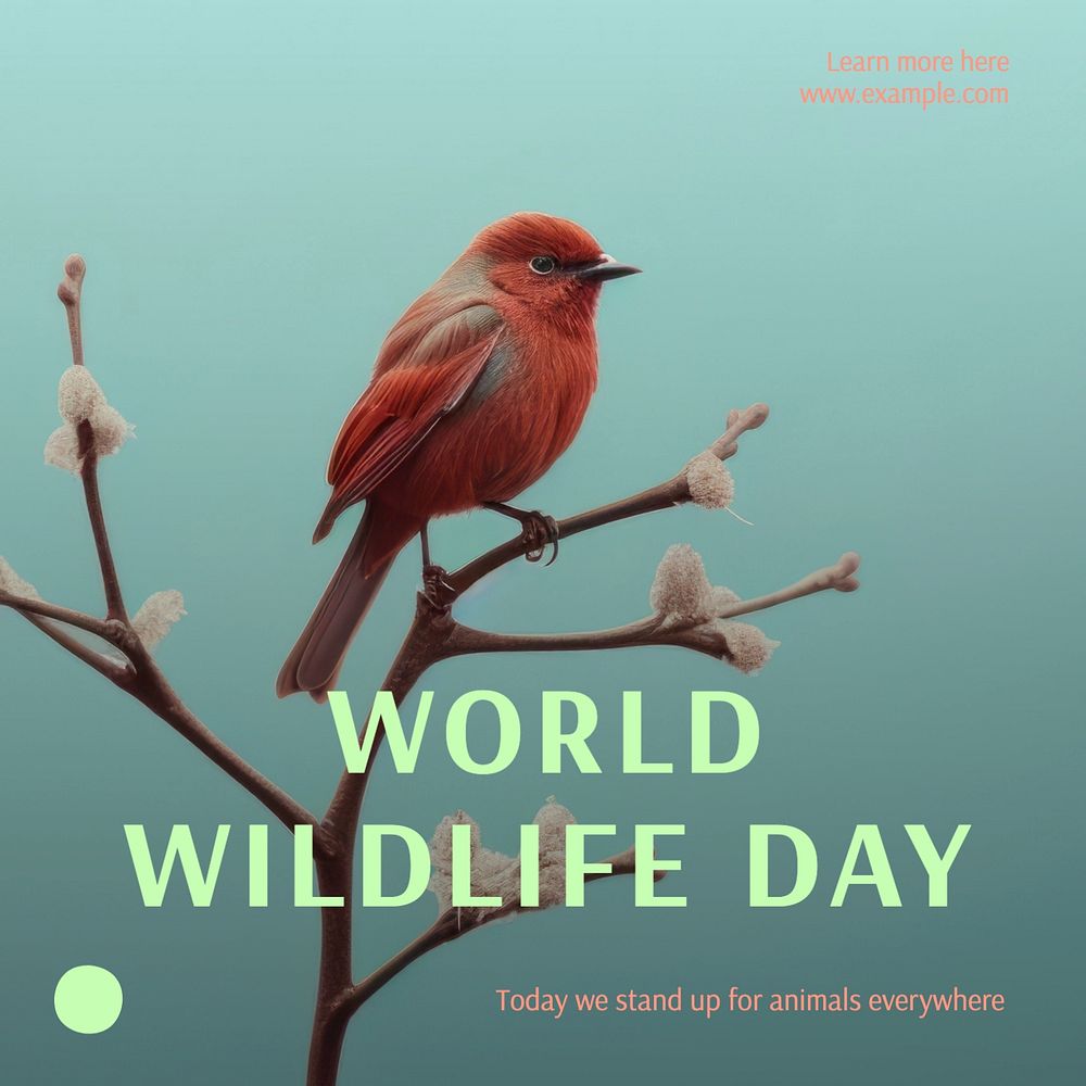 World wildlife day Instagram post template