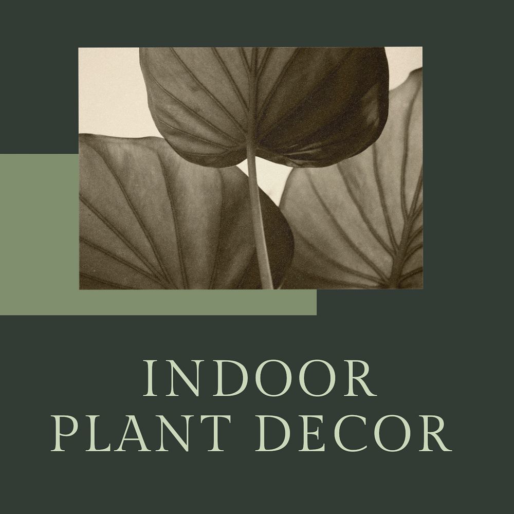 Indoor plant decor Instagram post template