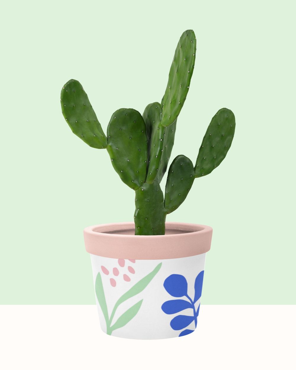 Cute cactus plant pot mockup, editable design