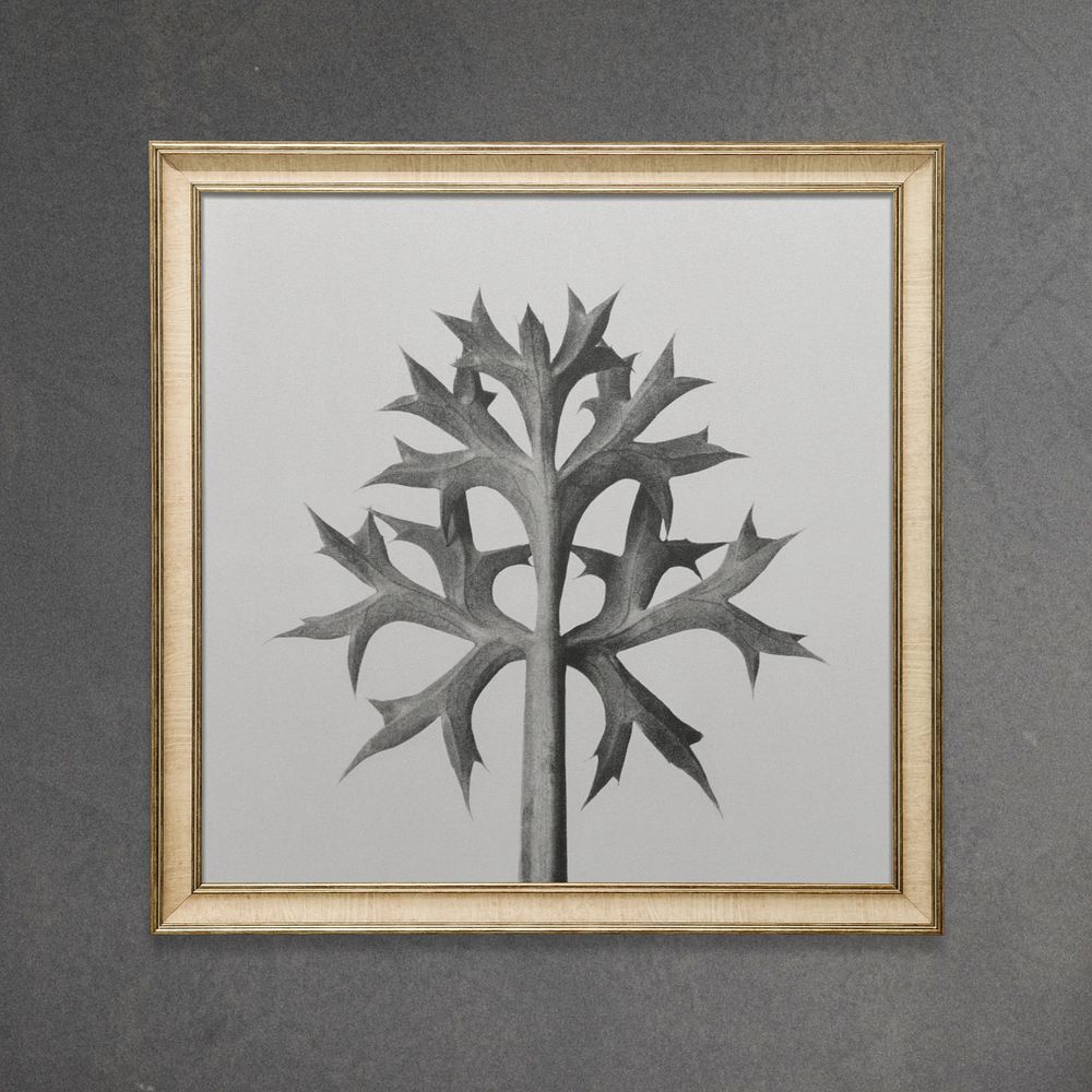 Gold frame mockup, Karl Blossfeldt's plant remixed by rawpixel
