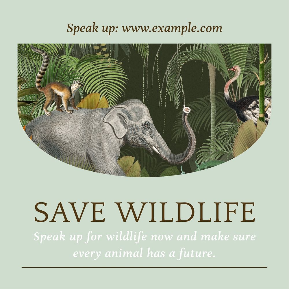 Save wildlife Instagram post template