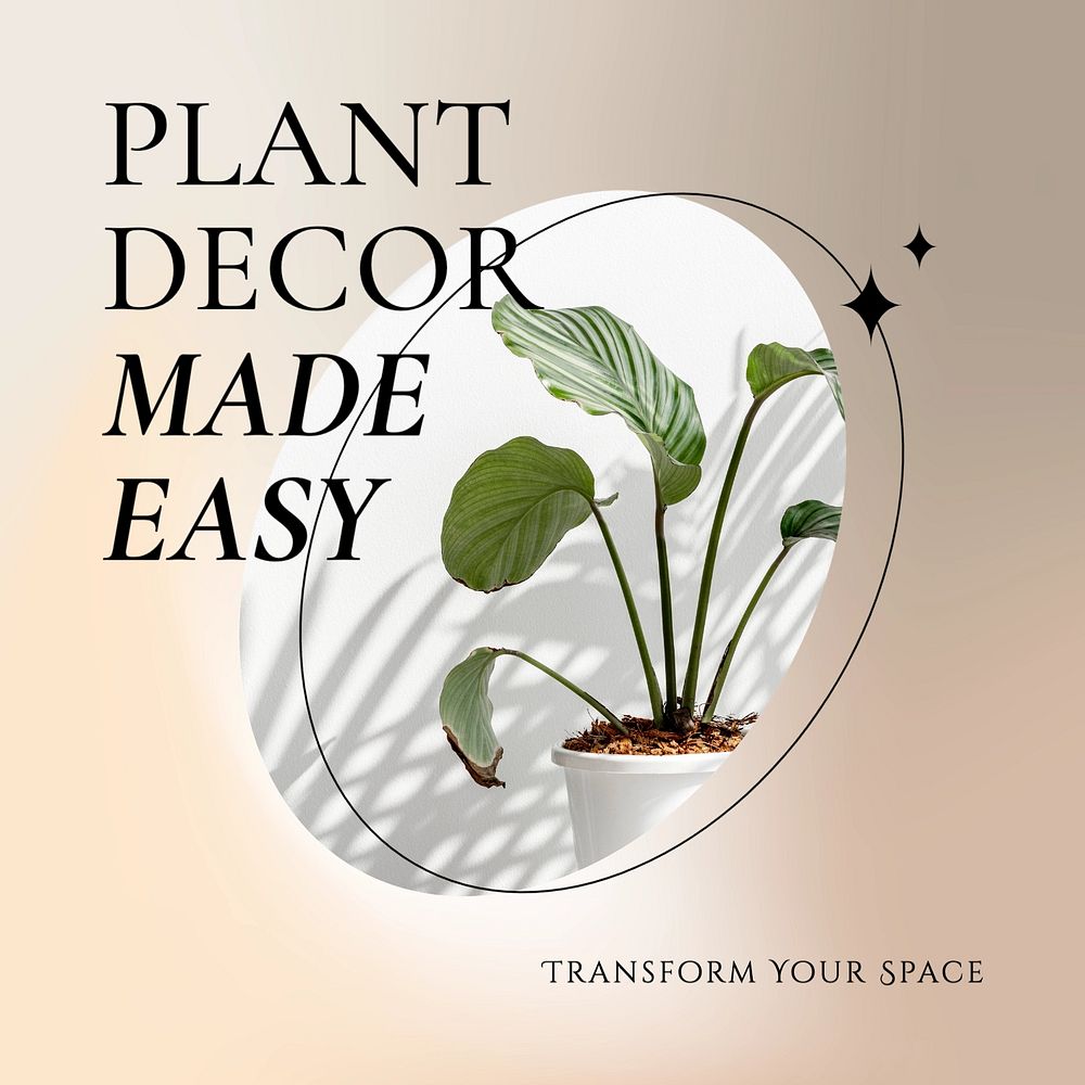 Plant decor Instagram post template