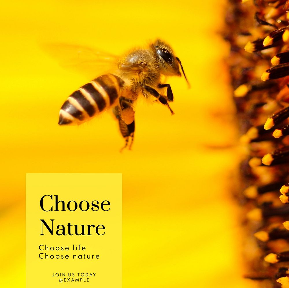 Choose nature Instagram post template