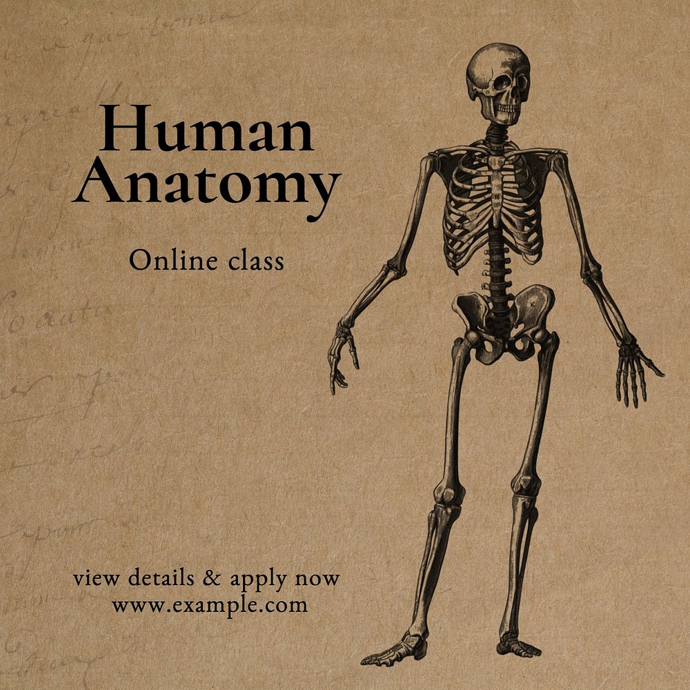 Human anatomy Instagram post template