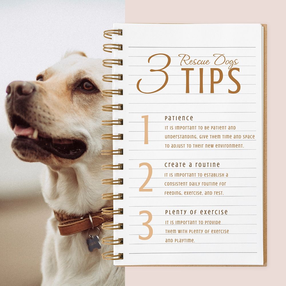 Rescue dogs tips Instagram post template