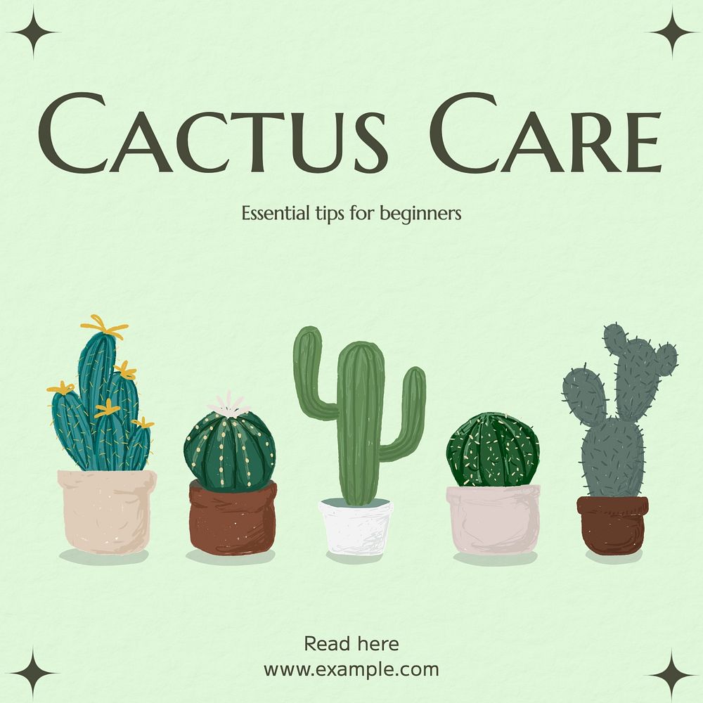 Cactus care Instagram post template