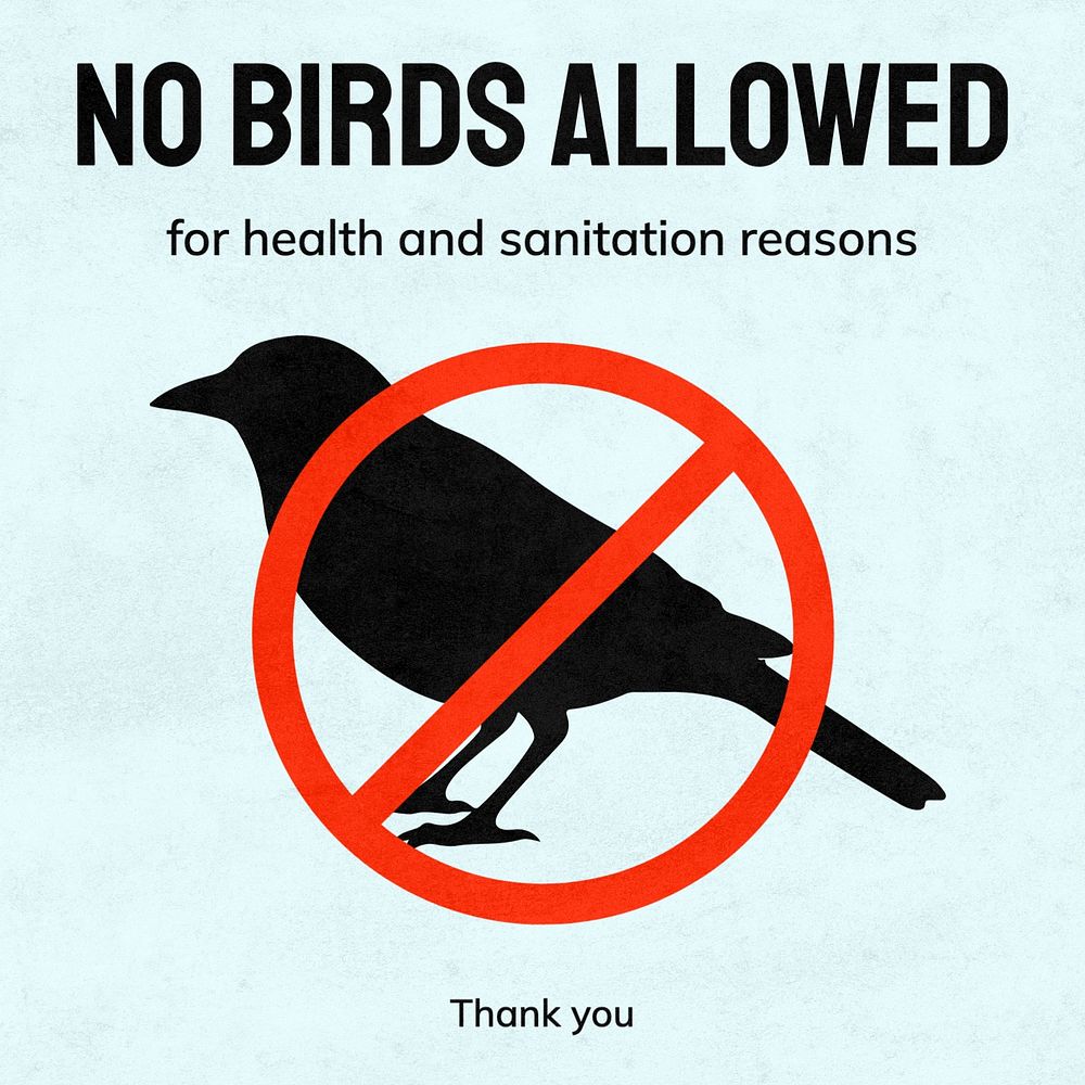 No birds allowed Facebook post | Premium Editable Template - rawpixel