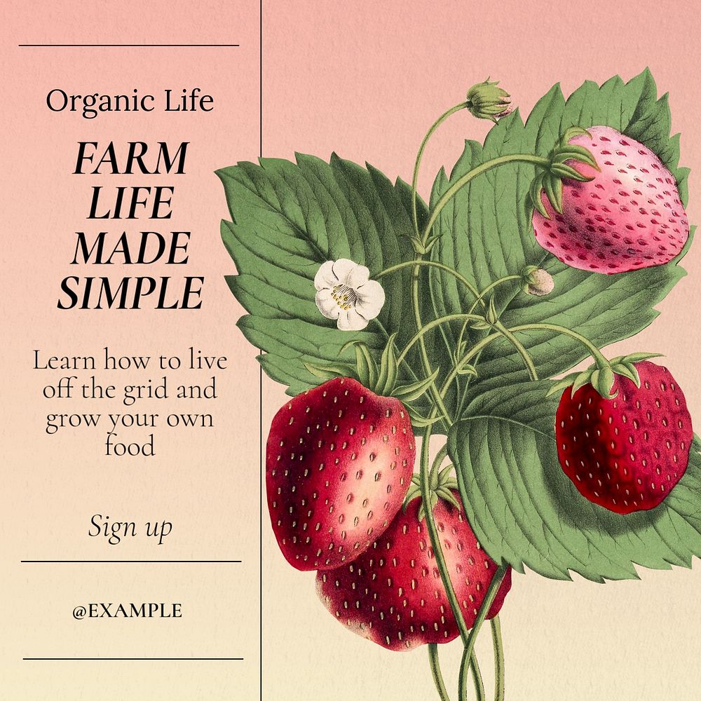 Farm life Instagram post template, editable text