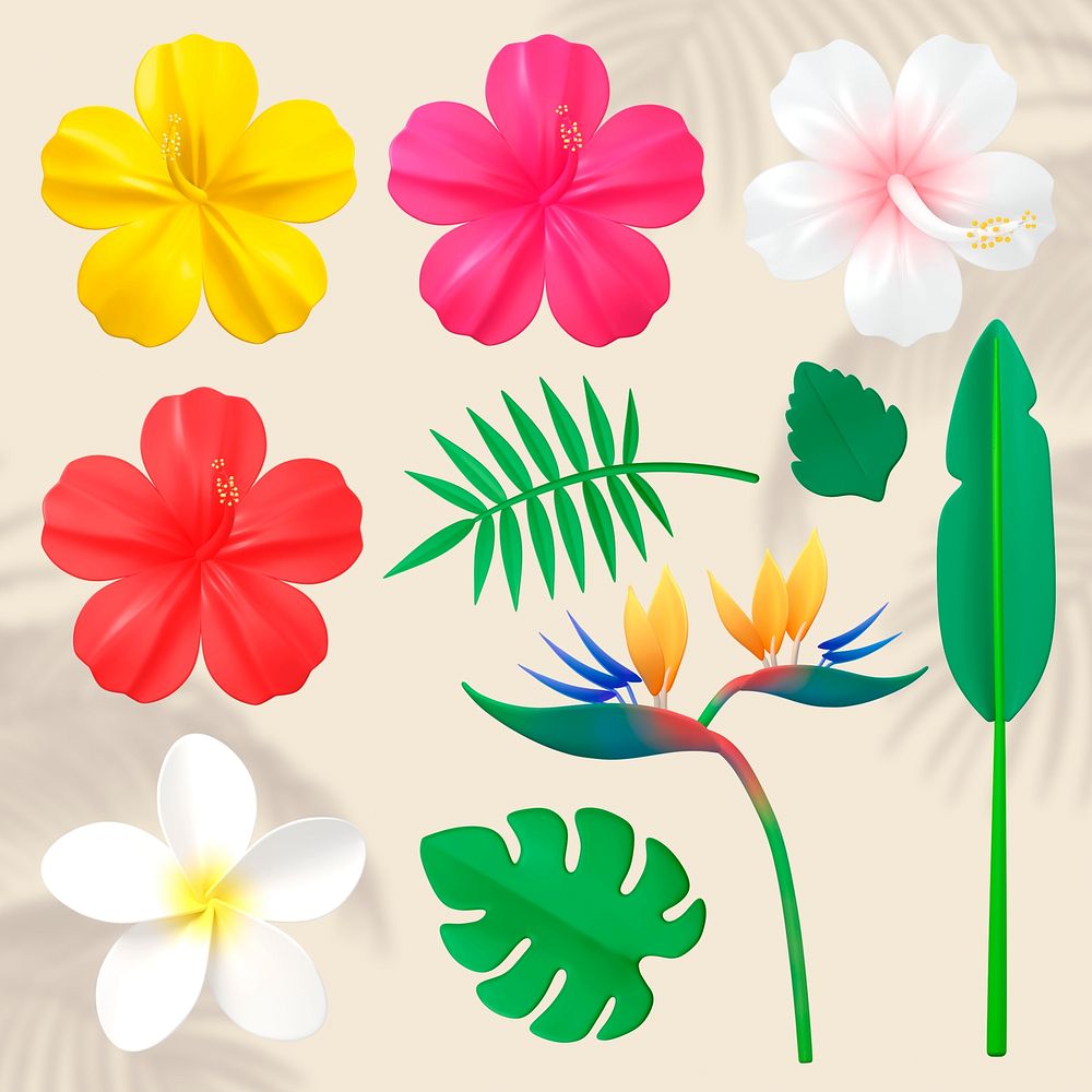 Vibrant tropical flowers and leaves set psd