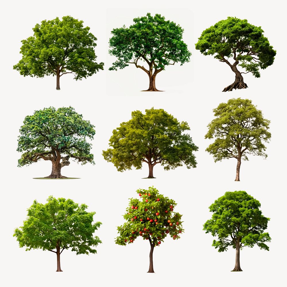 Diverse trees in grid format set psd