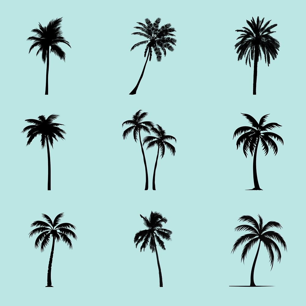 Tropical palm tree silhouettes  set psd