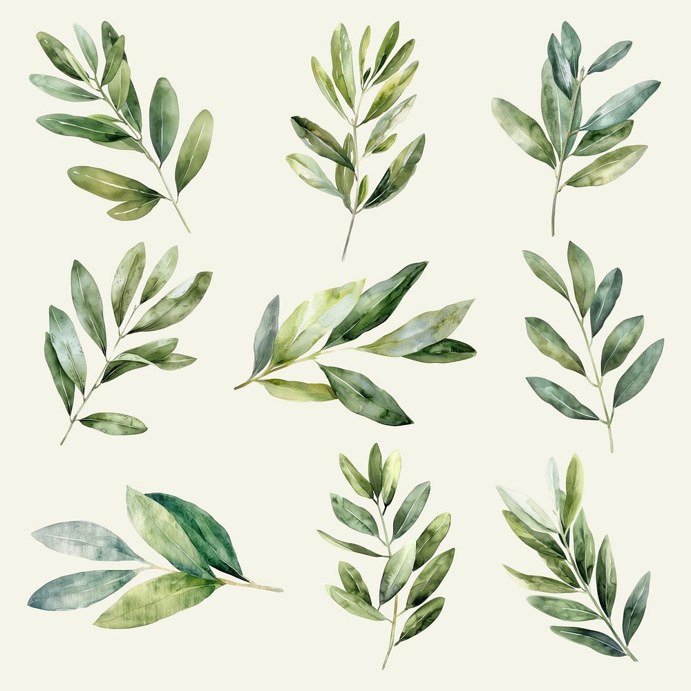 Watercolor botanical leaves  set psd